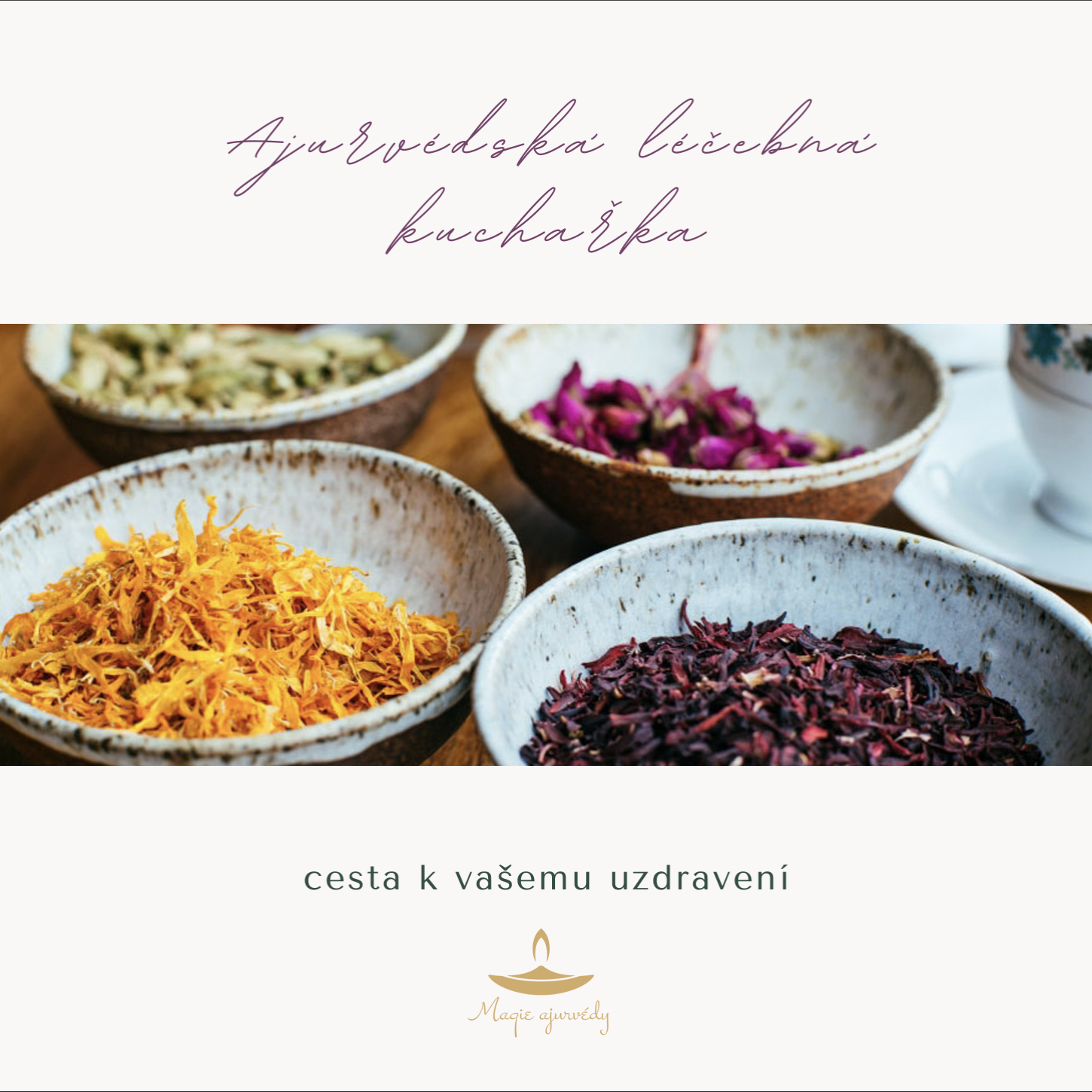 Ajurvédská kuchařka